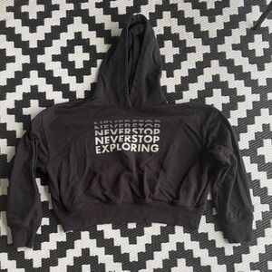 THE NORTH FACE “Logo Play” Cropped Hoodie - L